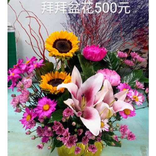 禮佛盆花B2022112501